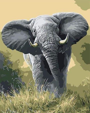 Paint by Numbers Kit - African Elephant