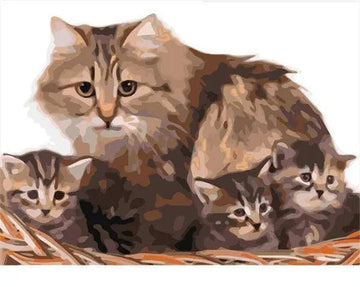 Paint by Numbers Kit - Beautiful Cats Family