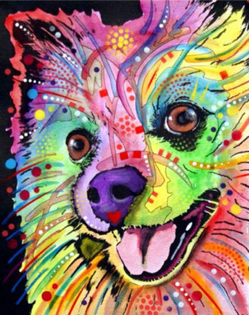Paint by Numbers Kit - Beautiful dog