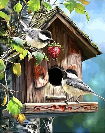 Paint by Numbers Kit - Bird House
