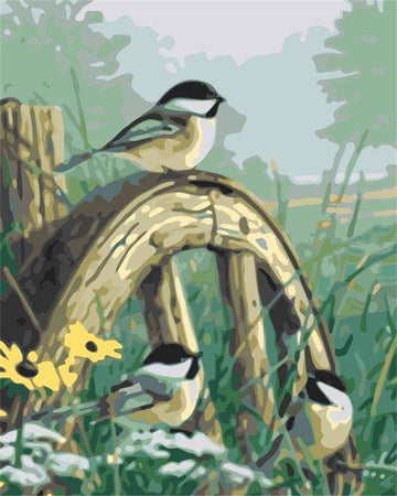 Paint by Numbers Kit - Birds on Wheel