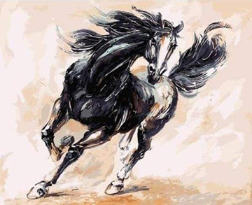 Paint by Numbers Kit - Black Horse