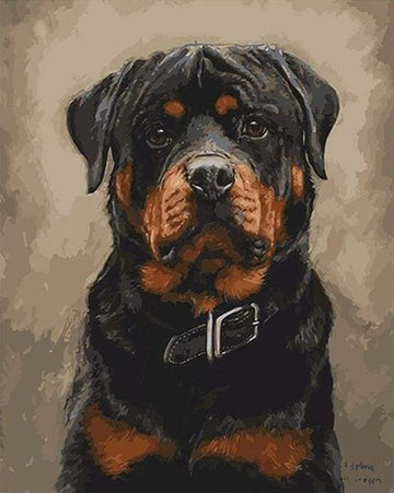 Paint by Numbers Kit - Black dog