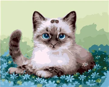 Paint by Numbers Kit - Blue Flowers With Cat