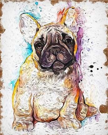 Paint by Numbers Kit - Brown Dog