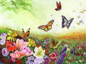 Paint by Numbers Kit - Butterflies and Flowers