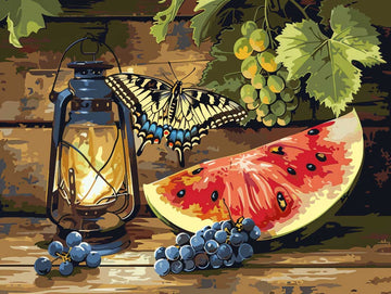 Paint by Numbers Kit - Butterflies and lights