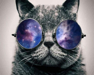 Paint by Numbers Kit - Cat with Sunglasses