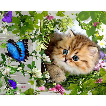 Diamond Paintings - Chaton Et Papillon