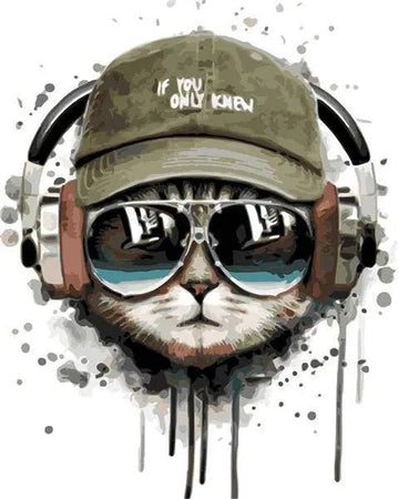 Paint by Numbers Kit - DJ Cat