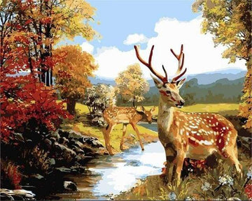 Paint by Numbers Kit - Deers