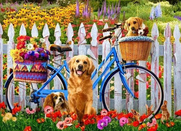 Paint by Numbers Kit - Dogs and Bicycles