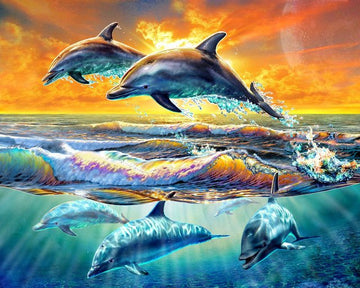 Paint by Numbers Kit - Dolphins