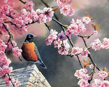 Paint by Numbers Kit - European Robin in Spring