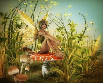 Paint by Numbers Kit - Fairy Mushrooms