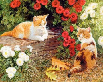 Paint by Numbers Kit - Flowers and Kittens