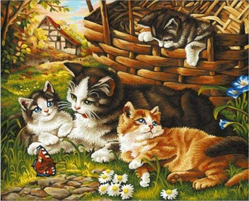 Paint by Numbers Kit - Four Cats