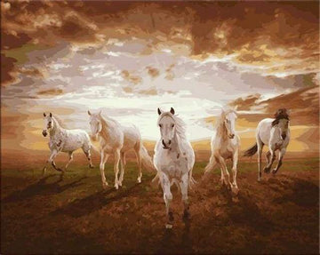 Paint by Numbers Kit - Galloping white Horses