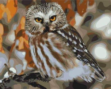 Paint by Numbers Kit - Gray Owl