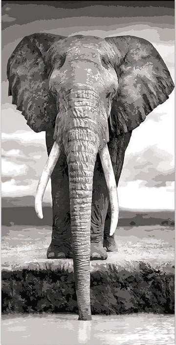 Paint by Numbers Kit - Grey Elephant