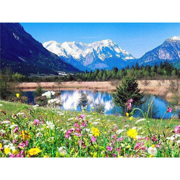 Diamond Paintings - Ground Flowers and River