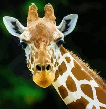 Paint by Numbers Kit - Head And Neck Giraffe