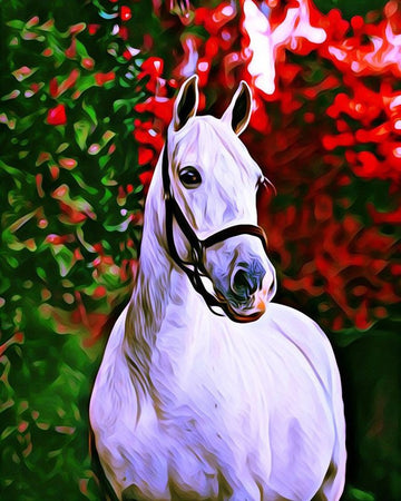 Paint by Numbers Kit - Horse and colorful background