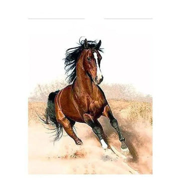 Paint by Numbers Kit - Horse