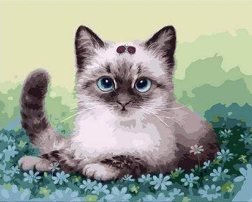 Paint by Numbers Kit - Kitten and Flowers