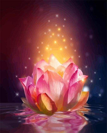Paint by Numbers Kit - Light Floating Lotus