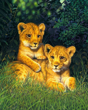 Paint by Numbers Kit - Lion cubs