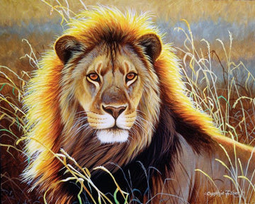 Paint by Numbers Kit - Lion in the savannah
