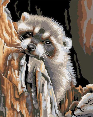 Paint by Numbers Kit - Little Raccoon