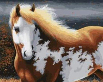 Diamond Paintings - Magic Horse