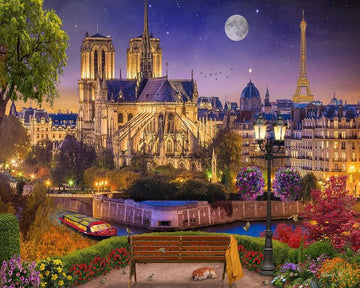 Paint by Numbers Kit - Notre-Dame and Eiffel Tower at night