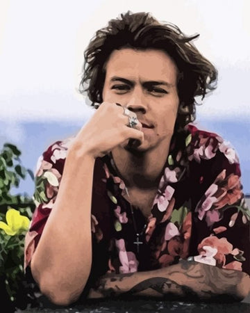 Paint by Numbers Kit - One Direction Harry Styles