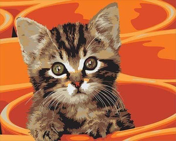 Paint by Numbers Kit - Painting Small Cat