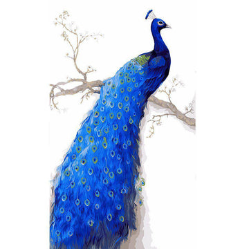 Paint by Numbers Kit - Peacock