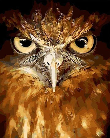 Paint by Numbers Kit - Piercing eyes Hawk