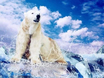 Paint by Numbers Kit - Polar bear