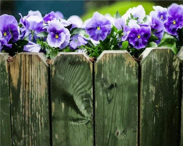 Paint by Numbers Kit - Purple Fence