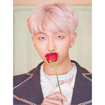 Diamond Paintings - RM BTS K-pop Kpop