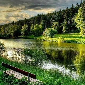 Diamond Paintings - River And Natural Forest