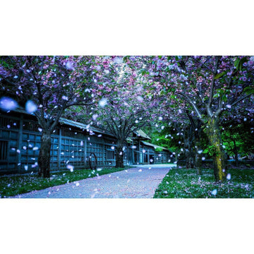 Diamond Paintings - Road Of Cherry Trees
