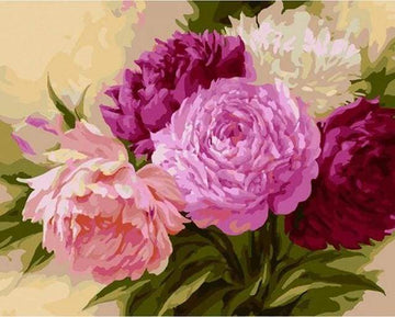 Paint by Numbers Kit - Shades of Rose