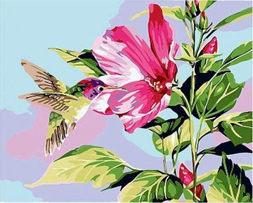 Paint by Numbers Kit - Small Hummingbird in Flowers