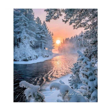Diamond Paintings - Snow Moon