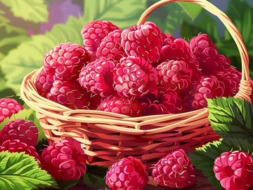 Paint by Numbers Kit - Sunlit Raspberry Harvest