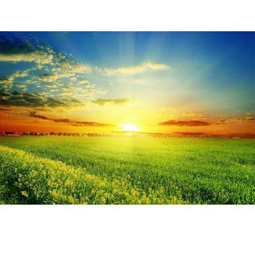 Diamond Paintings - Sunshine Green