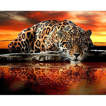 Diamond Paintings - Tiger And Reflection